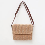 Beige Brown Bag