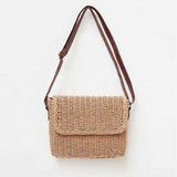 Beige Brown Bag
